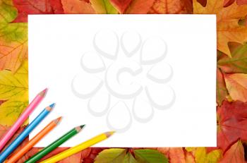 autumn leaves pencils and white sheet of paper