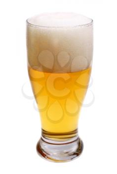 beer is in glass isolated on white background