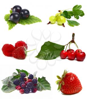 berries isolated on white background
