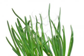 healthy vegetable green onion isolated white on background