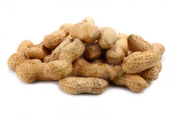 peanut isolated on white background