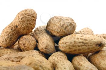 peanut isolated on white background