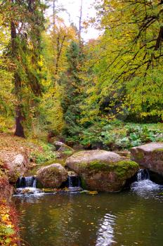 a small river is in the autumn forest