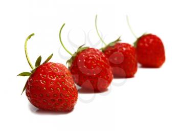 strawberries row isolated on white background