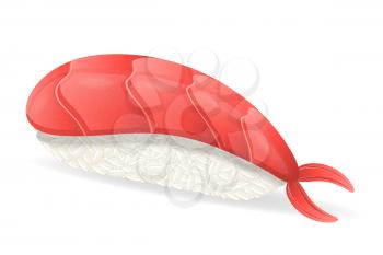 sushi with shrimp vector illustration isolated on white background