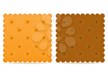 crispy biscuit cookie vector illustration isolated on gray background