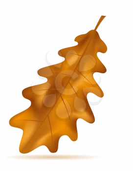 autumn oak leaves vector illustration isolated on white background