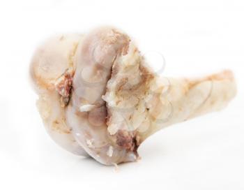 bone on a white background