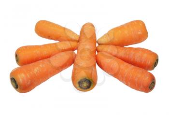 carrots on white 