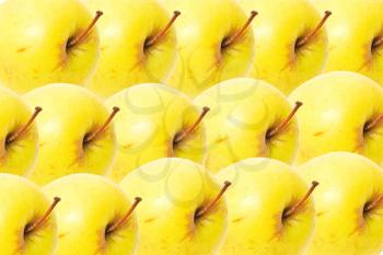 Yellow apples as a background