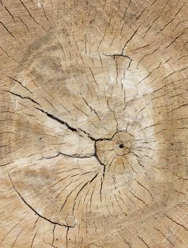 Wooden texture. It is possible to use as a background. 