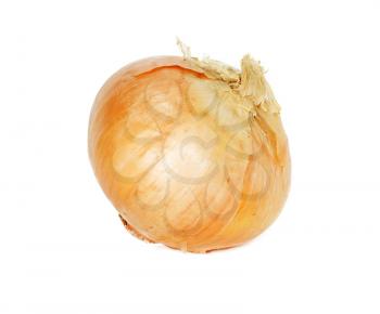 Single onion bulb isolated on white background 