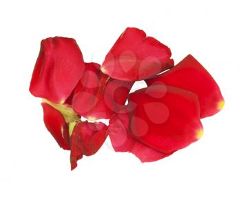 Rose petals isolated on white
