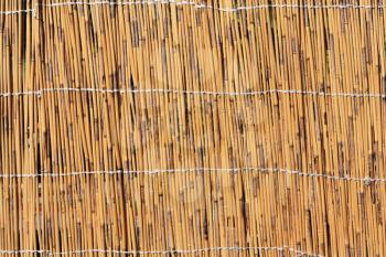 Cane texture 