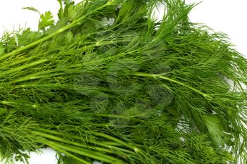 dill and parsley