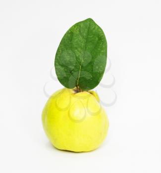 object on white - food quince close up 
