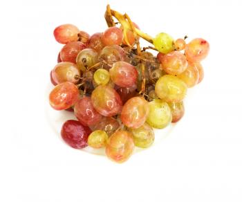 Fresh grape 