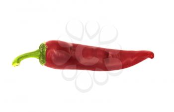 red chilly 