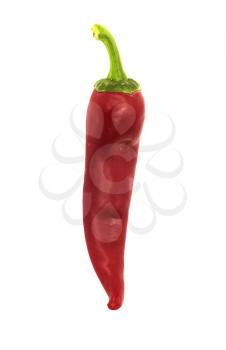 red chilly 