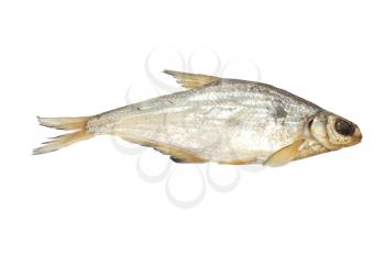 bream isolated on white background 