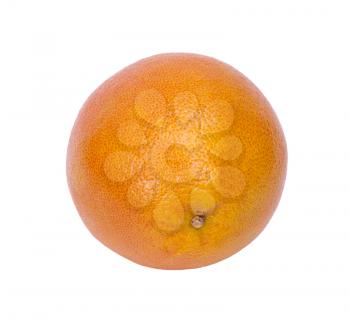 Grapefruit on a white background. 