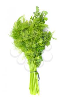 dill and parsley isolated on a white background 