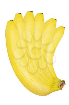 banana bundle 