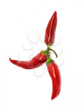 three hot chili peppers 