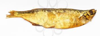 smoked fish isolated on white 