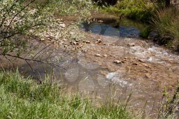 mountain river in the nature