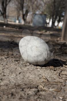 a large round stone on the ground