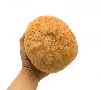 Bread in a hand on a white background