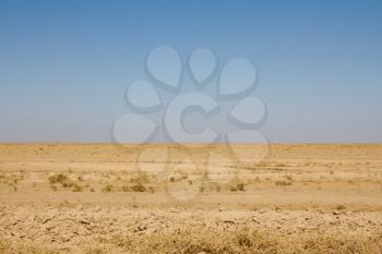 bare steppe of Kazakhstan