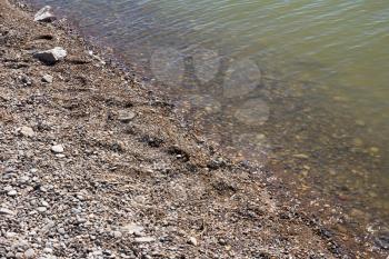 shore of the lake with stones as background