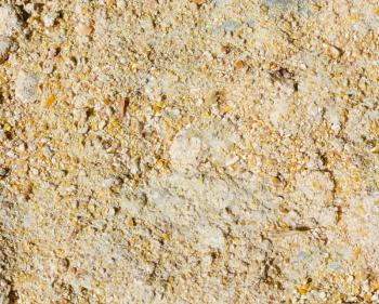 crushed maize as a background