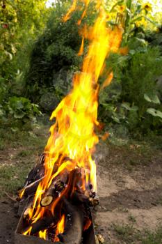 fire from burning wood