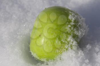 green apple in the snow