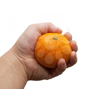 Mandarin in hand on white background