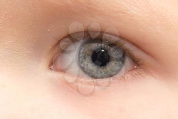the child's eye. macro