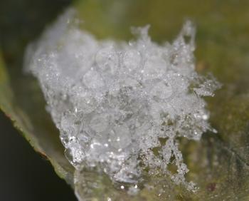 background of the snow. macro