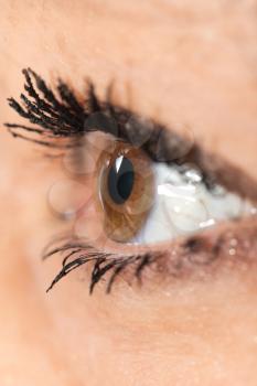 Macro image of human eye