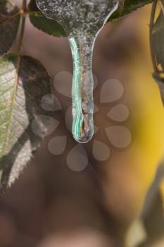 a drop of ice in nature. macro