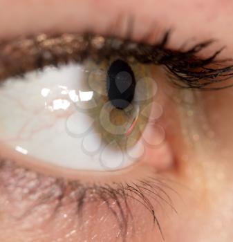 Macro image of human eye