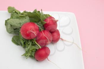 red radish in a bowl on a pink background