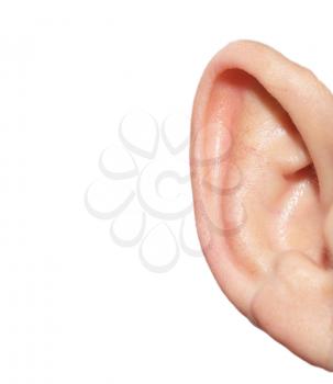 human ear on white background