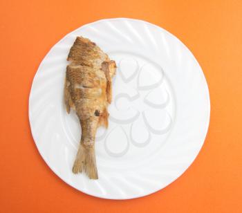 fried fish on a plate on green background