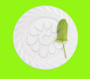 sorrel on a plate on a green background