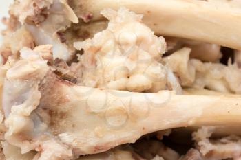 Background of boiled bones. macro
