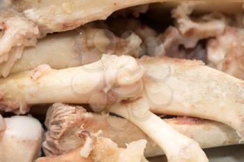 Background of boiled bones. macro