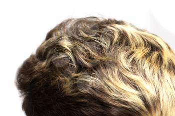 highlights on the hair of the head on a white background